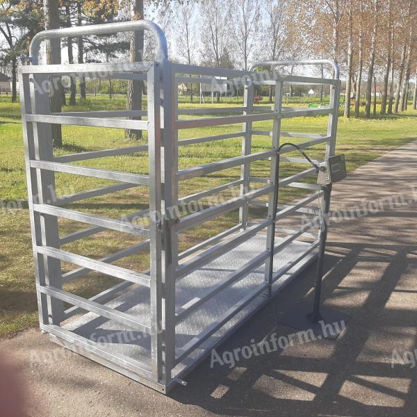 Mobile cattle scales, animal scales