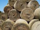 Alfalfa bales for sale in Petrograd