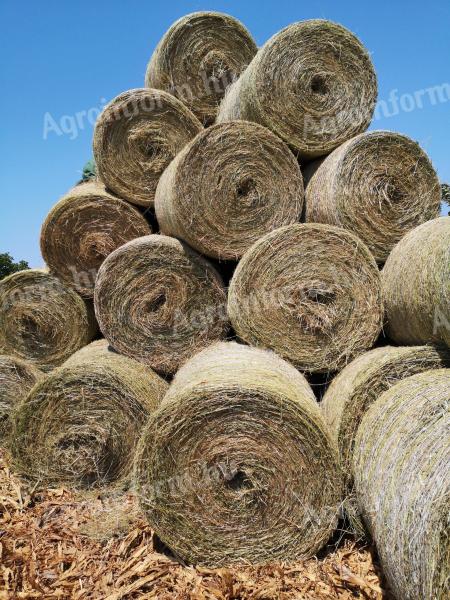 Alfalfa bales for sale in Petrograd