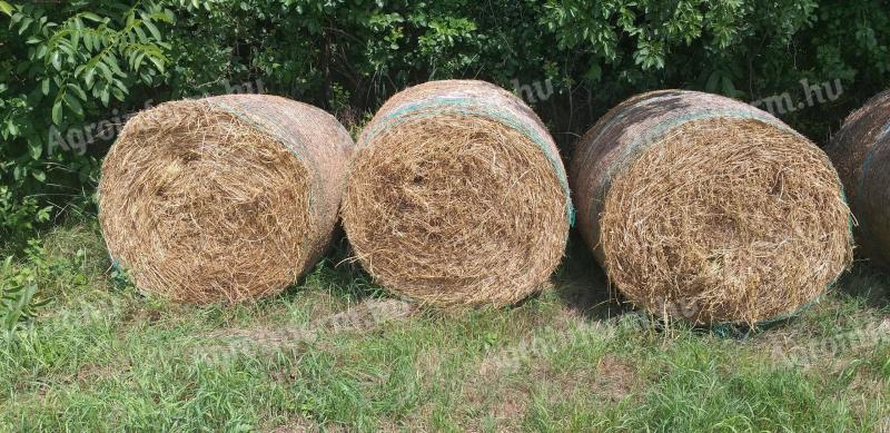 Alfalfa, grass hay bales for sale