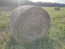 Lucerna bale