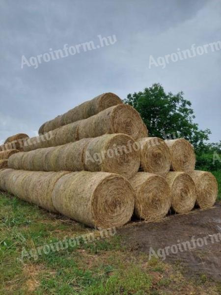 Alfalfa round bales for sale