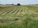 Grass hay small cube bale