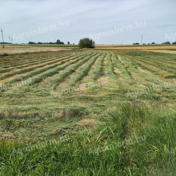 Grass hay small cube bale