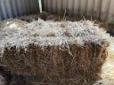 Grass hay small cube bale