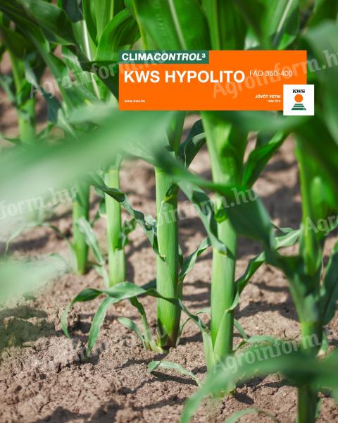 KWS HYPOLITO (FAO 350-400) sjeme kukuruza