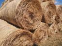 Good quality hay bales covered with hay bales for sale