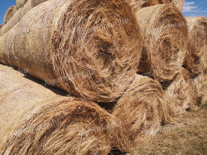 Good quality hay bales covered with hay bales for sale