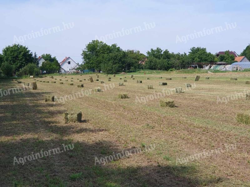 Kisbálás lucernás széna,  kisbálás lucerna