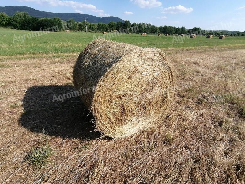 Bale of hay