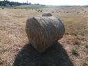 Bale of hay