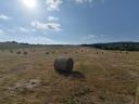 Bale of hay