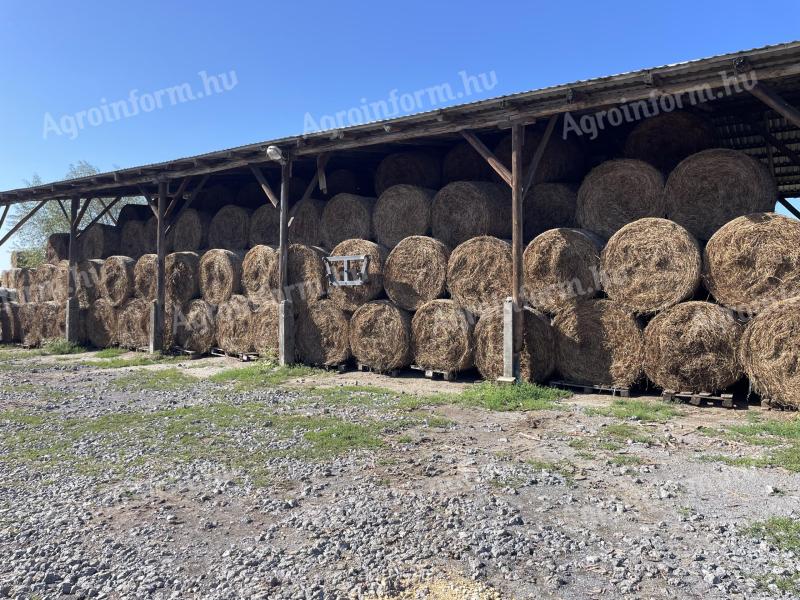 Hay, alfalfa, clover and packaged bales for sale