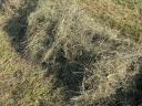 Hay, alfalfa, clover and packaged bales for sale