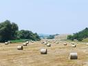 Lucerna and hay bales for sale