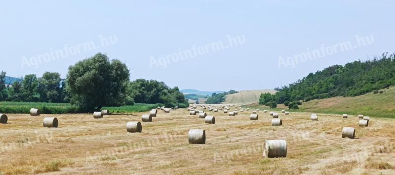 Alfalfa a balíky sena na predaj