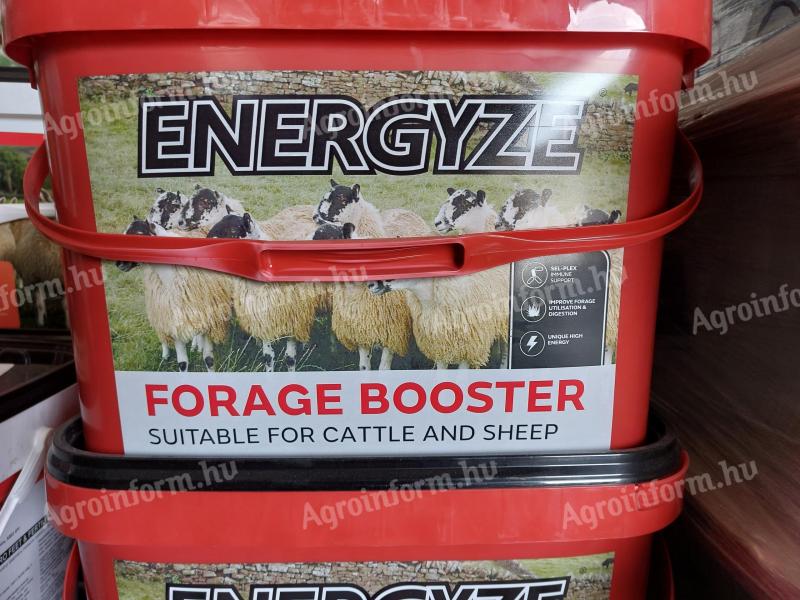 Nyalótál gyenge minőségű takarmány etetésekor juhok és szarvasmarháknak