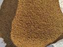 Lucerne kernels, fully cleaned and metal-sealed, Gea, eride and muhar kernels, millet for sale