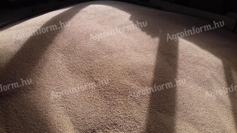 Organic white millet and millet for sale