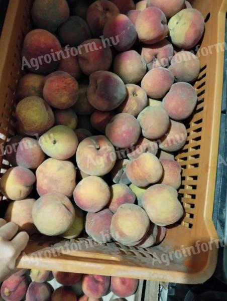 Cefre peach