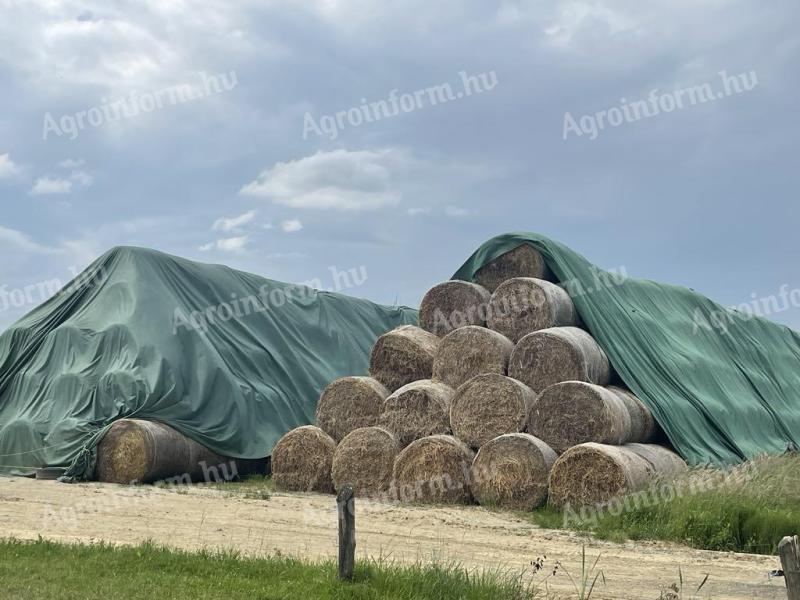 Prodaja mrežaste bale sena (okrožje Baranya)