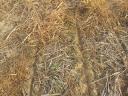 I do direct mail NO-TILL