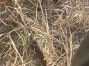 I do direct mail NO-TILL