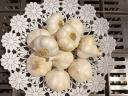 Knoblauchmesse