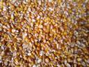 Maize for sale