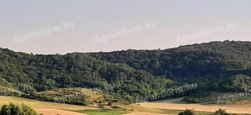 Teren forestier de vânzare în Nógrád county