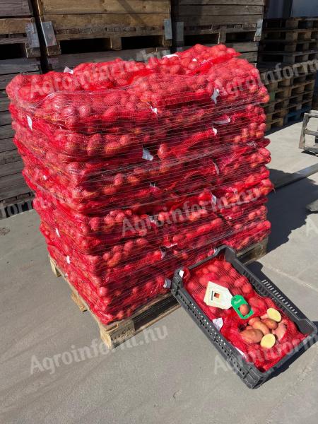 Potatoes for sale in Mórahalom