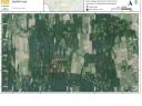 42 ha of forest for sale in Vése, Somogy county