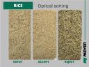 Vetőmag,  gabona,  rizs tisztítás