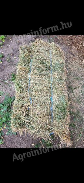 Small baled hay for sale