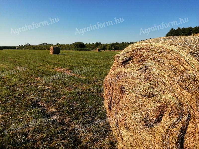 Nagybálás réti széna (150) kb 300-350 kg felrakással együtt