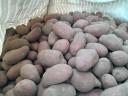 Potatoes edible (50+), in bulk