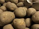 Potatoes edible (50+), in bulk