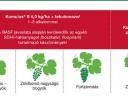 KUMULUS® S Fungicide Spray Sprzedaż❗❗❗