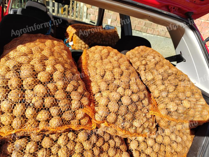 Olúpané vlašské orechy, tohtoročná Milota, suché, s papierovou škrupinou, pošlem kuriérom GLS na dobierku, 1400 HUF/kg.