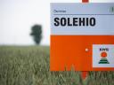 KWS Solehio metal-locked wheat seed