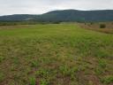 2,5 ha großes ländliches Grundstück zum Verkauf in der schönsten Lage von FELSőTÁRKÁNY, mit herrlichem Panorama