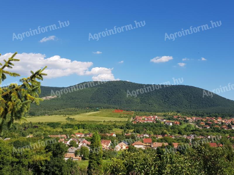 1.1 ha plot of land for sale in a beautiful location in FELSŐTÁRKÁNY, with a wonderful panoramic view