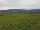 on the outskirts of FELSŐTÁRKÁNY with a wonderful panoramic view TWO LANDS (total 3.6 ha) FOR SALE