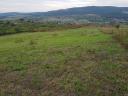 on the outskirts of FELSŐTÁRKÁNY with a wonderful panoramic view TWO LANDS (total 3.6 ha) FOR SALE