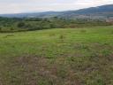 on the outskirts of FELSŐTÁRKÁNY with a wonderful panoramic view TWO LANDS (total 3.6 ha) FOR SALE