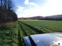 vetch-rye mixture