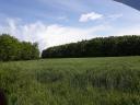 De vânzare pădure Natura 2000