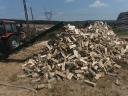 Dry firewood in Vácrátó