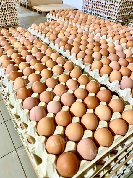 Friss tanyasi étkezési és fertőtlenített tojások