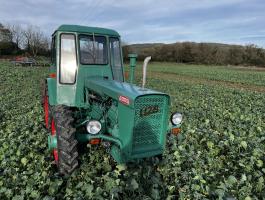 Dutra Ue 28